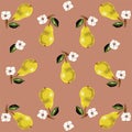 Pattern pear fruit, blooming, twigs 2. illustration.